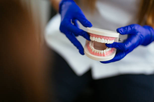 Best Dental Exams and Cleanings  in Cuyahoga Falls, OH